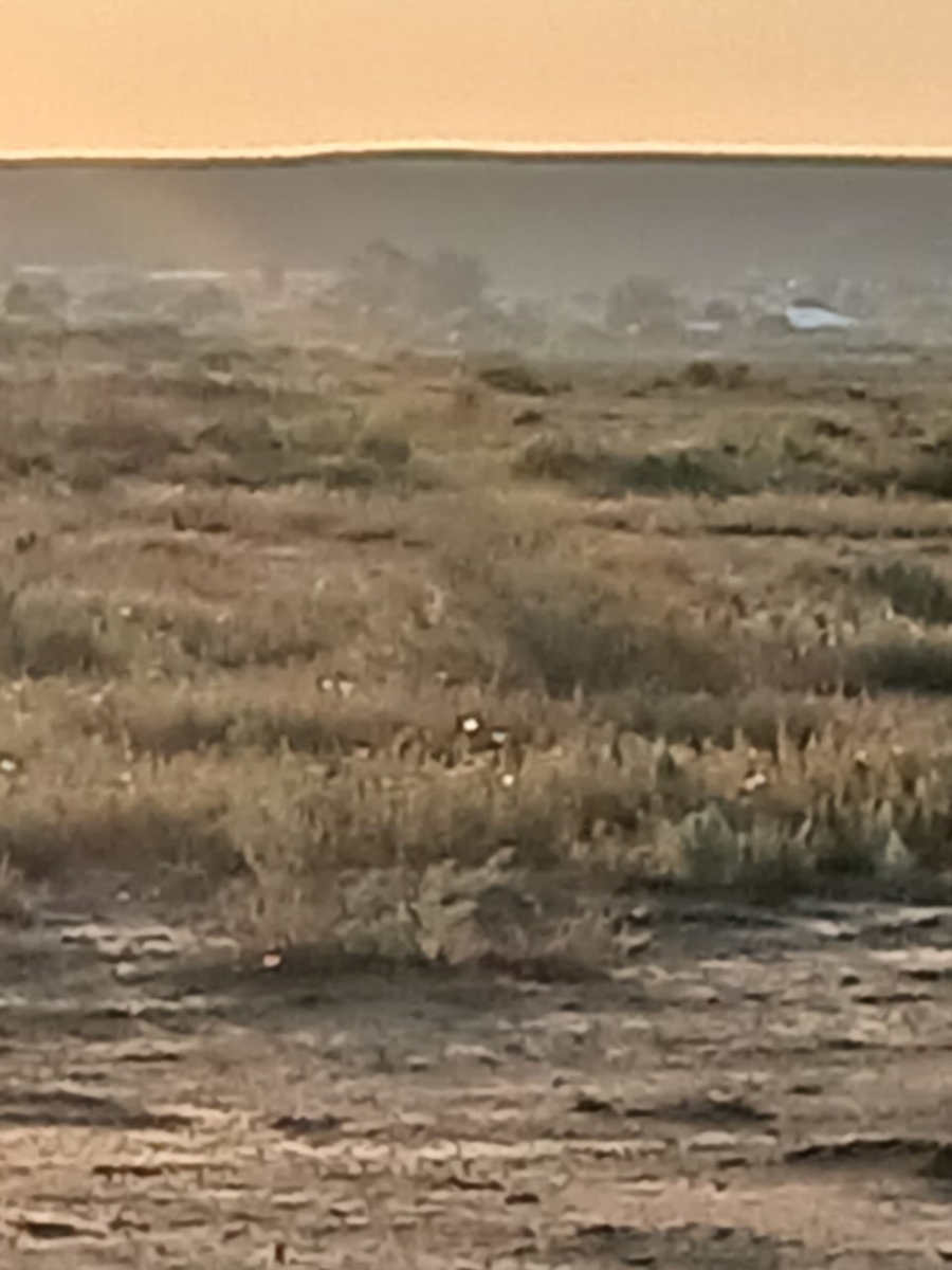 Commercial Property for Sale in Vanwyksvlei Northern Cape